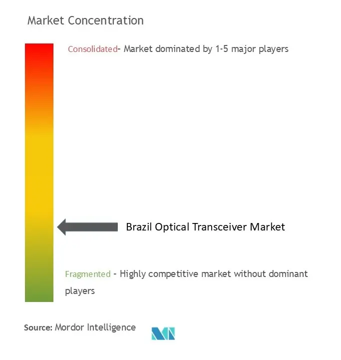 Brazil Optical Transceiver Market Concentration