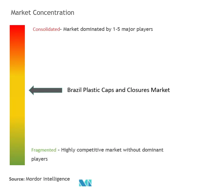 Brazil Plastic Caps and Closures Market Concentration