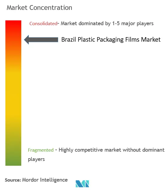 Brazil Plastic Packaging Films Market Concentration