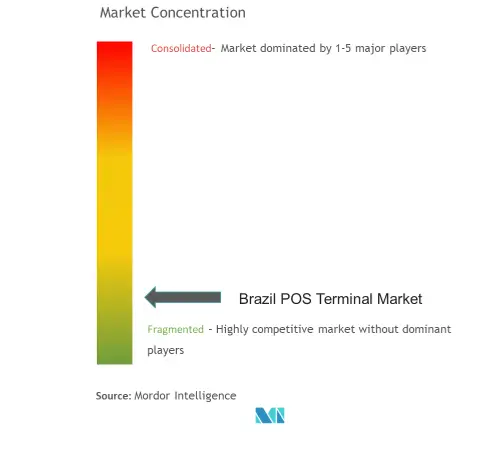 Brazil POS Terminal Market Concentration