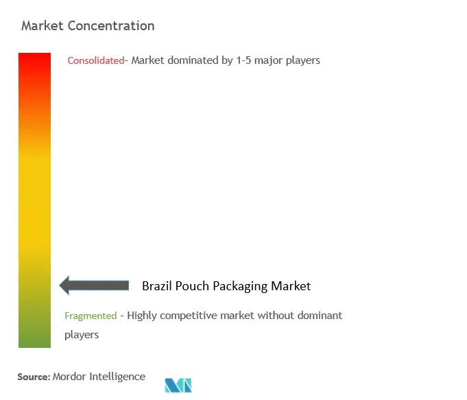 Brazil Pouch Packaging Market Concentration