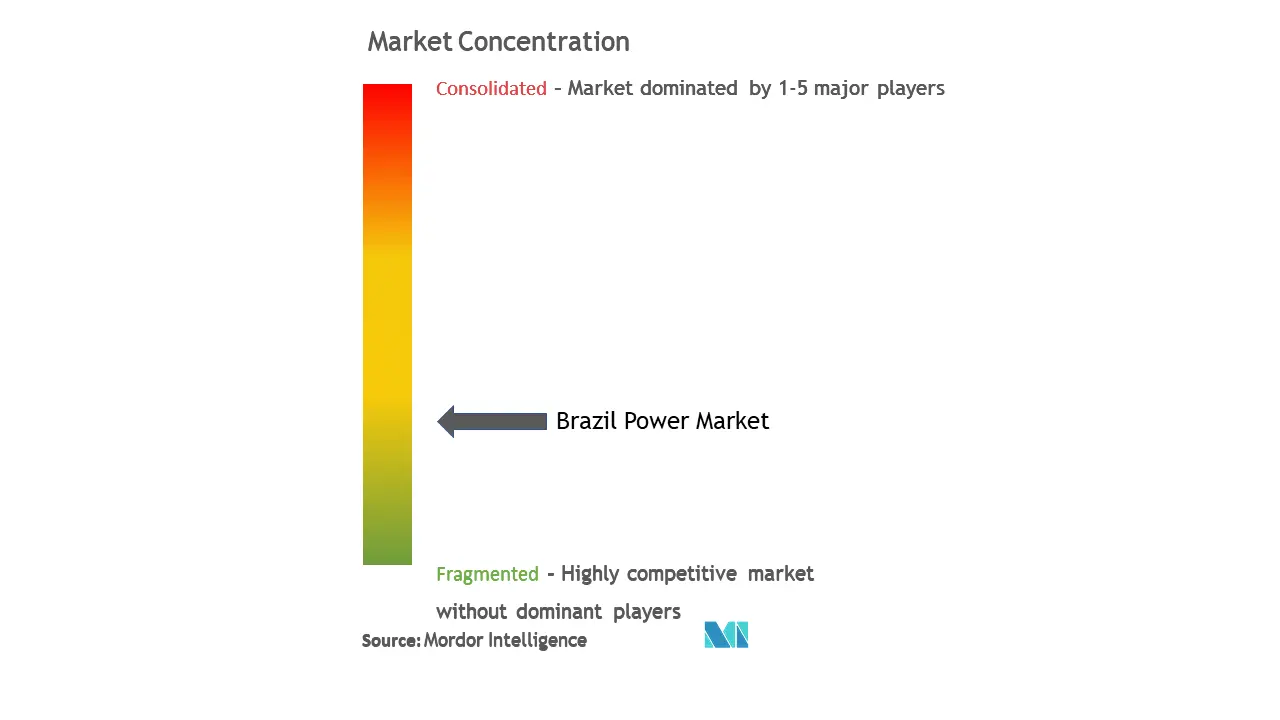Brazil Power Market Concentration
