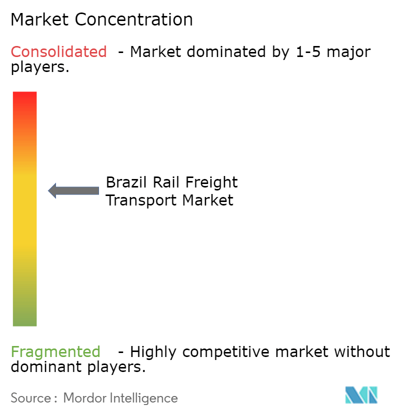 Concentración del mercado de transporte ferroviario de mercancías en Brasil Concentración del mercado de transporte ferroviario de mercancías en Brasil