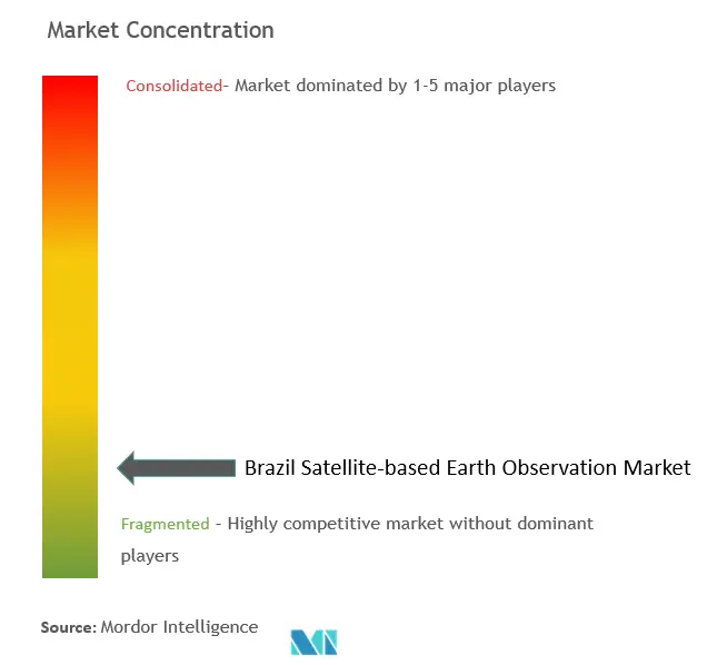 Brazil Satellite-based Earth Observation Market Concentration