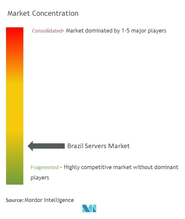 Brazil Servers Market Concentration