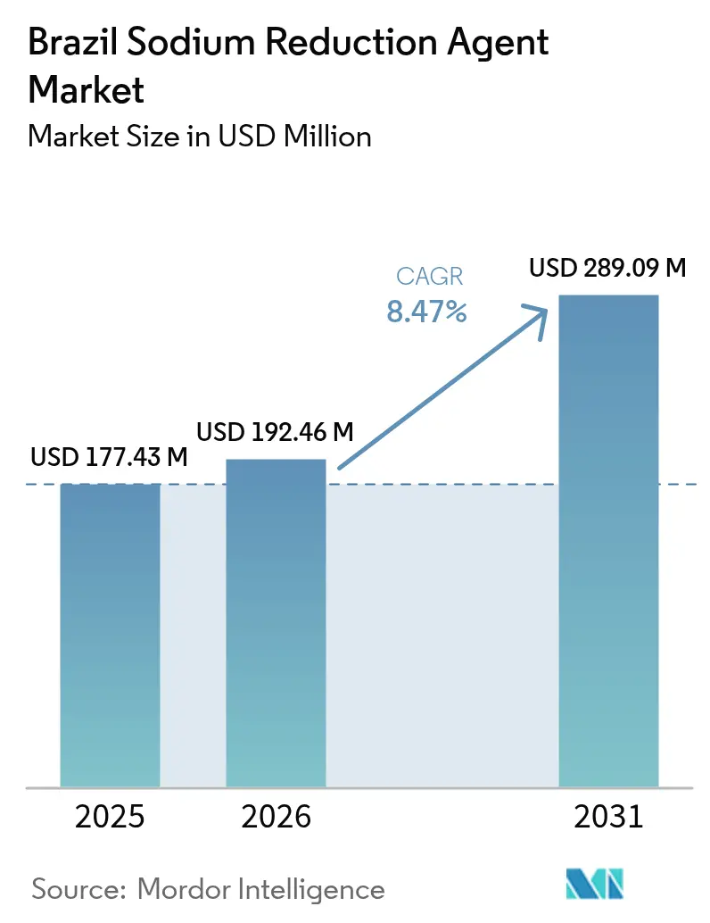 Brazil Sodium Reduction Agent Market (2025 - 2030)