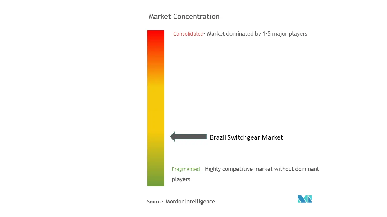 ブラジル開閉装置市場の集中度