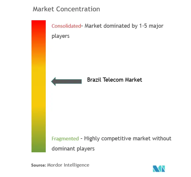 ブラジル・テレコム市場の集中度