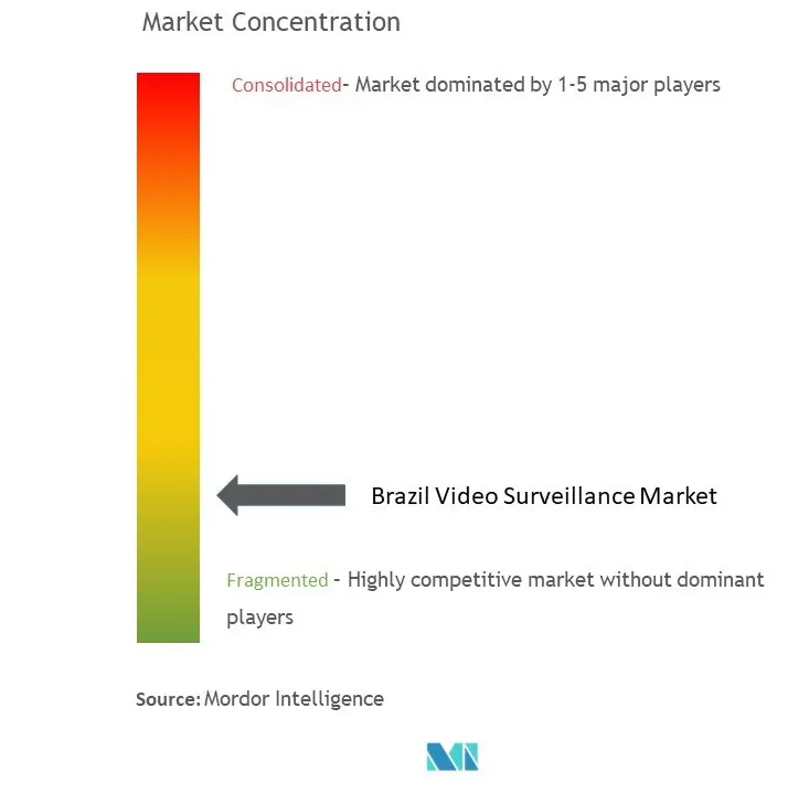 Brazil Video Surveillance Market Concentration