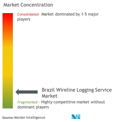 Brazil Wireline Logging Service Market - Market Concentration.png