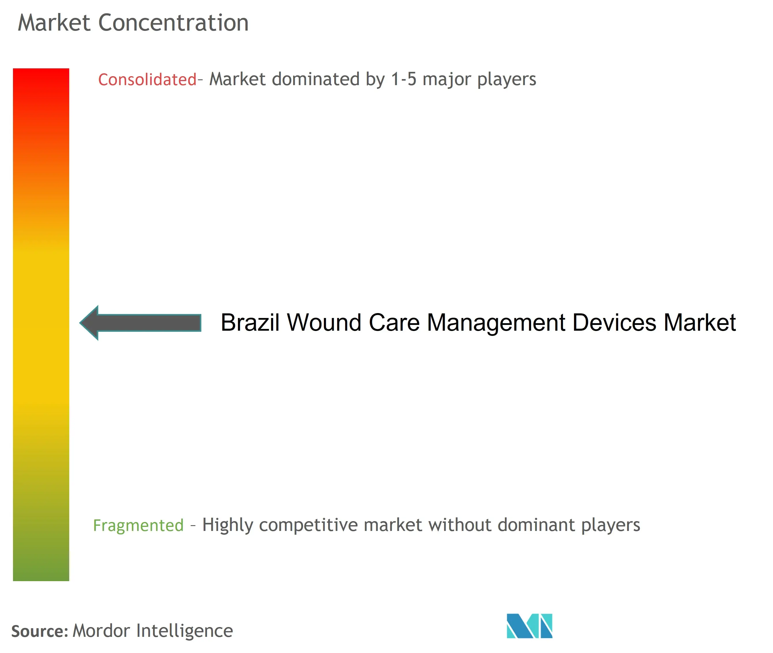 巴西伤口护理管理设备市场集中度