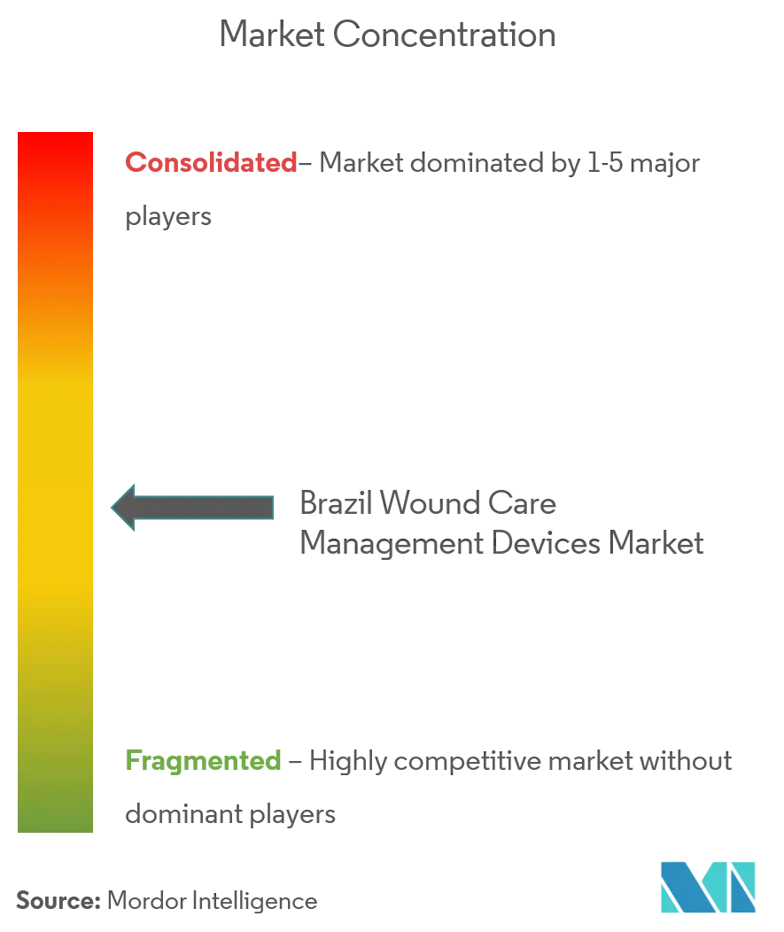 Brazil Wound Care Management Devices Market Concentration