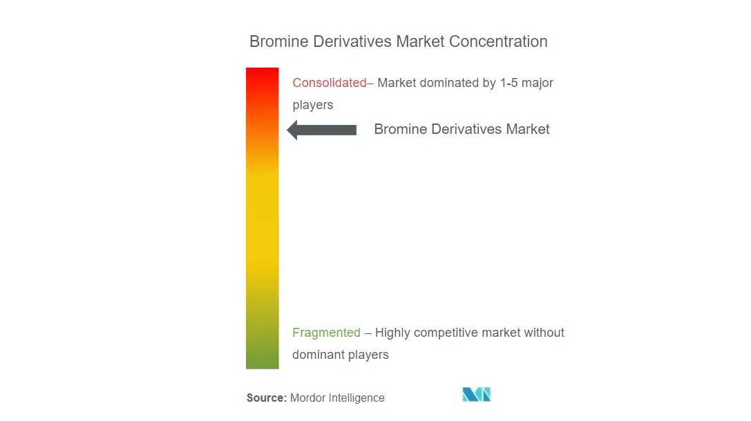 Bromine Derivatives Market Market Concentration.png