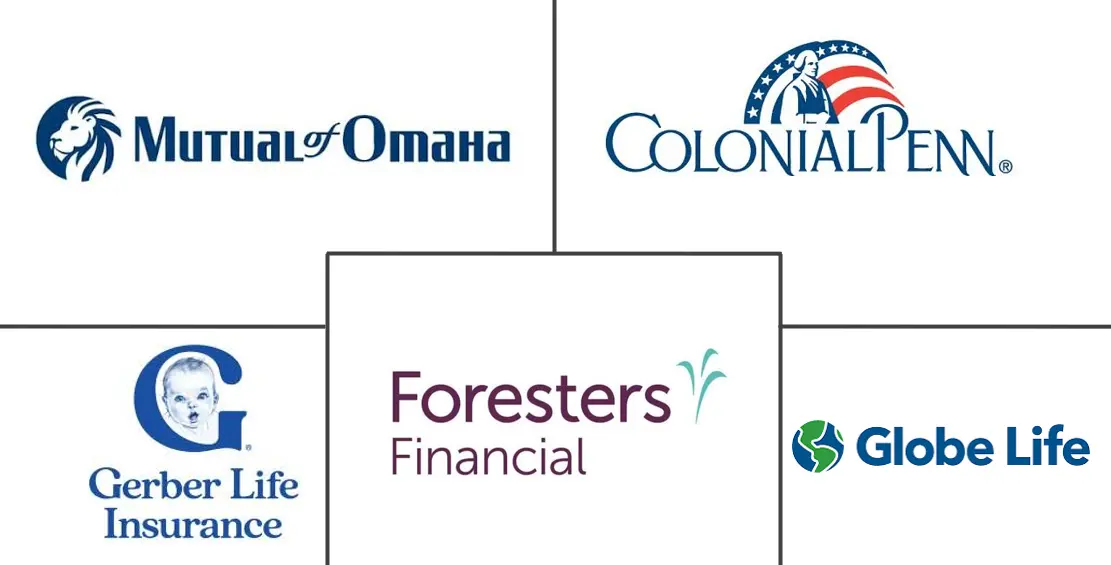 Major players in Burial Insurance industry