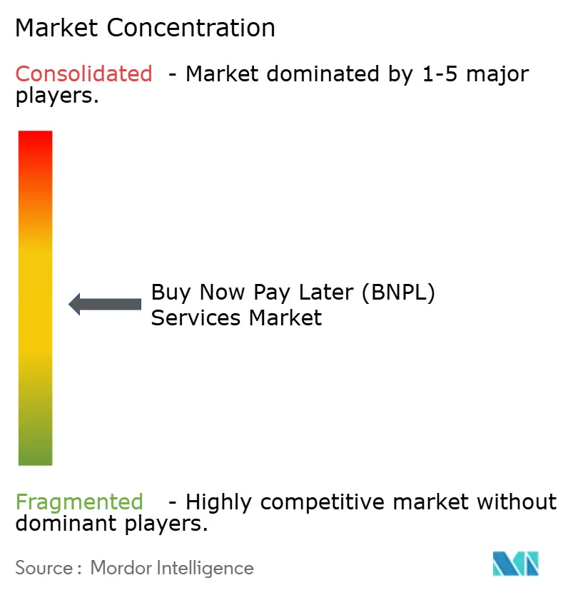 Affirm, Inc., Afterpay, PayPal Holdings, Inc., Klarna Inc., Sezzle, Splitit, Perpay Inc, Openpay, Quadpay, Inc., LatitudePay