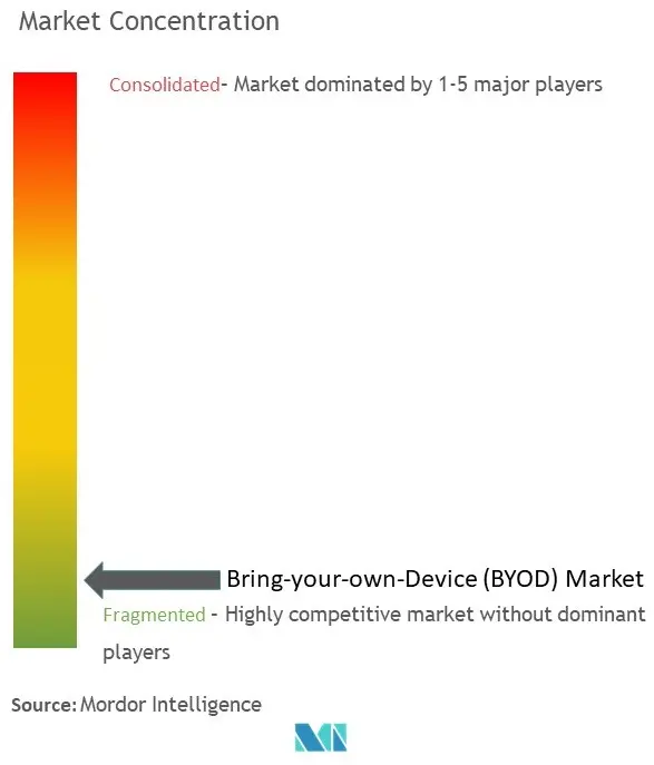 BYOD Market Concentration