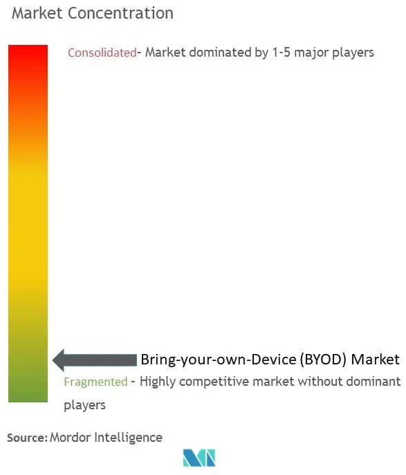 تركيز سوق BYOD