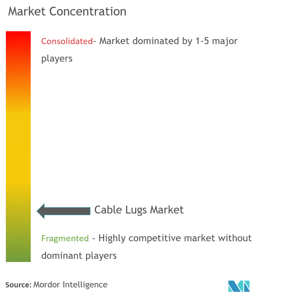 Cable Lugs Market Concentration