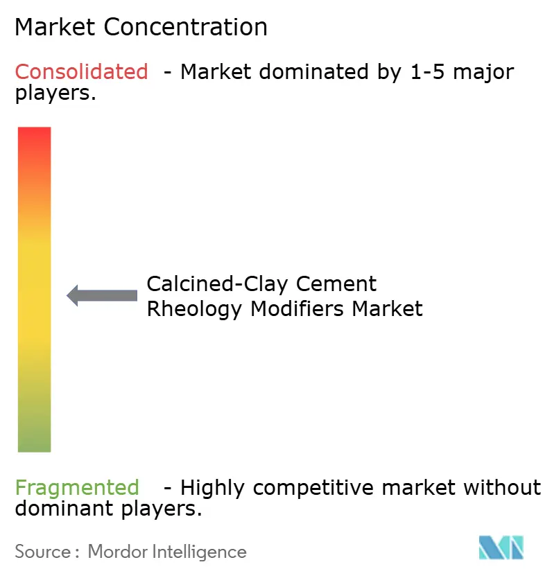 Calcined-Clay Cement Rheology Modifiers Market Concentration