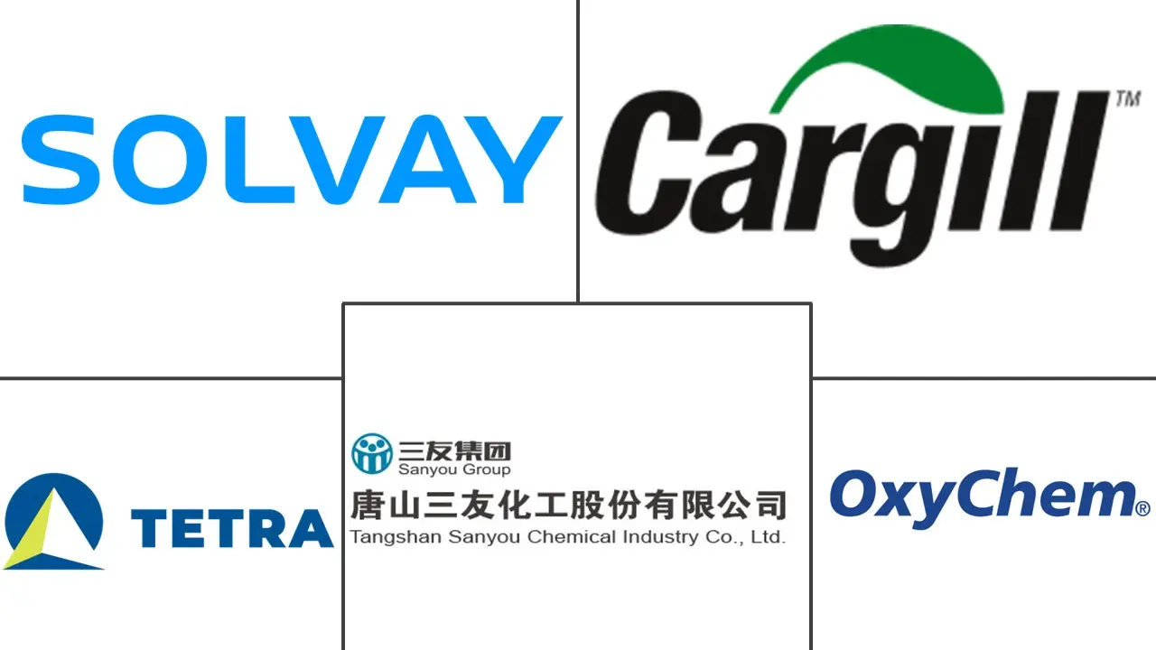 Major players in Calcium Chloride industry