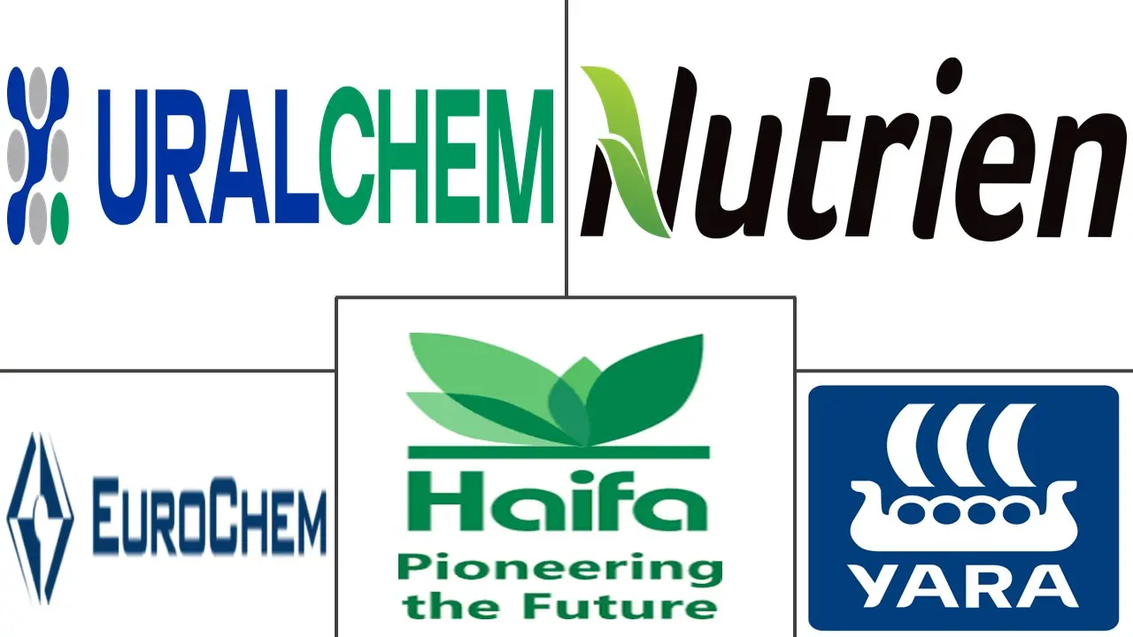 Major players in Calcium Nitrate industry