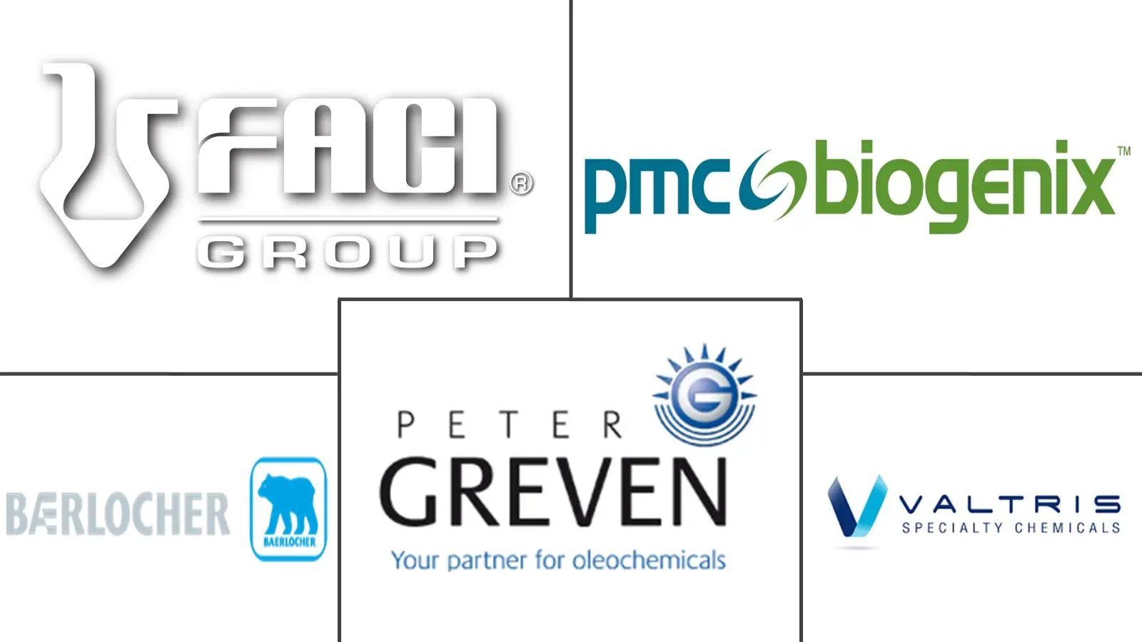 Major players in Calcium Stearate industry