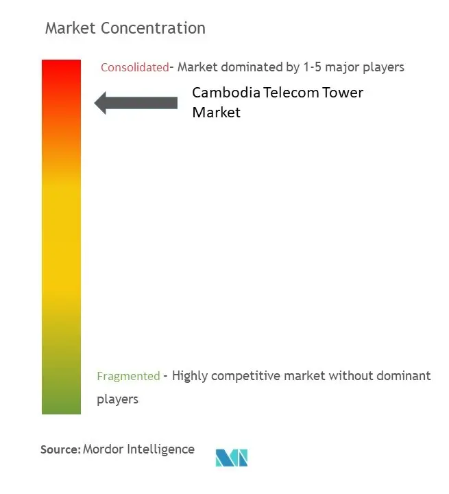 Cambodia Telecom Tower Market Concentration