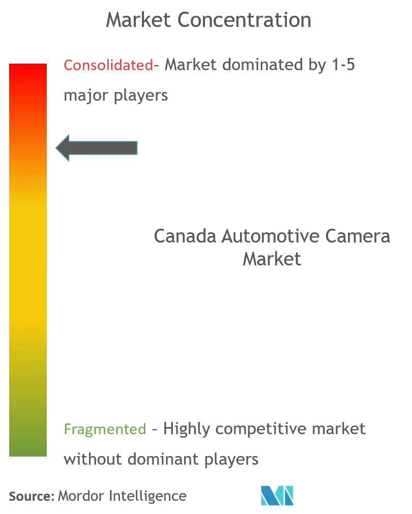 カナダの自動車用カメラ市場集中度
