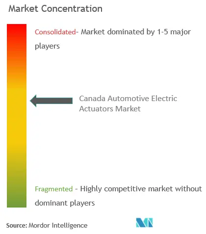 Actuadores eléctricos automotrices de CanadáConcentración del Mercado