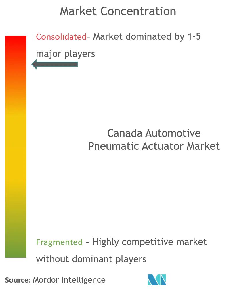 Actuadores neumáticos automotrices de CanadáConcentración del Mercado