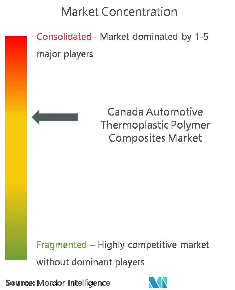 Marktkonzentration für thermoplastische Polymerverbundstoffe in Kanada