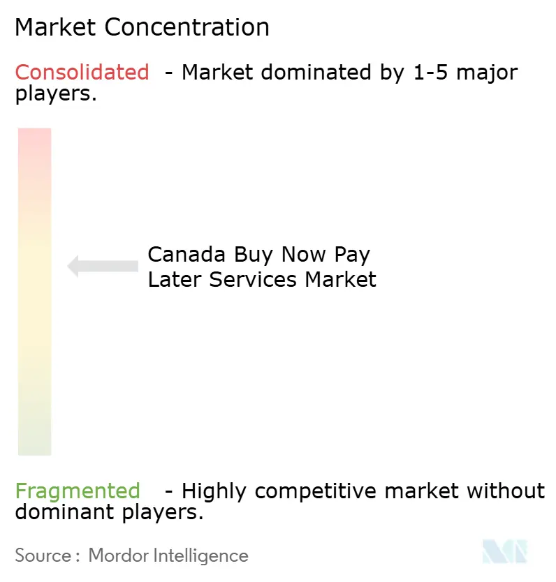 Afterpay, Sezzle, ZIP, Klarna, Affirm, PayPal Holdings Inc., Laybuy Group Holdings Limited, Prepay, Interac, Neteller
