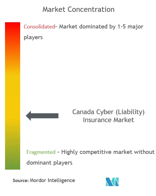 カナダのサイバー保険市場の集中度