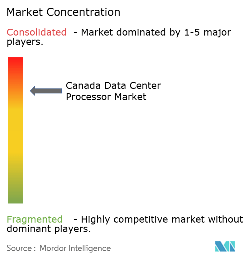 Canada Data Center Processor Market Concentration