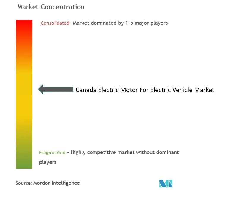 Canada Electric Motor for Electric Vehicle Market Concentration