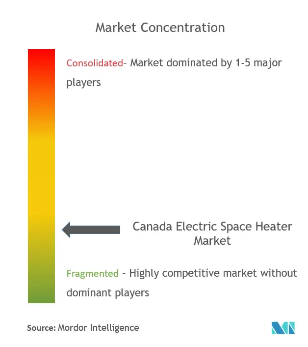 Canada Electric Space Heater Market  Concentration