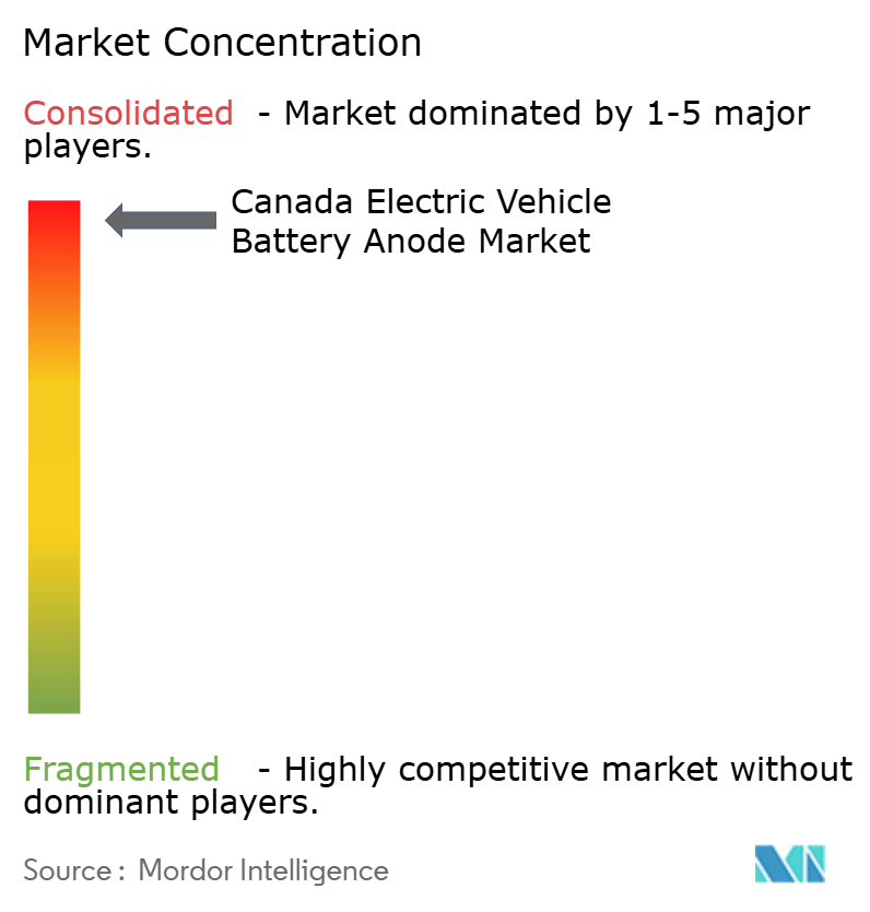 Canada Electric Vehicle Battery Anode Market Concentration