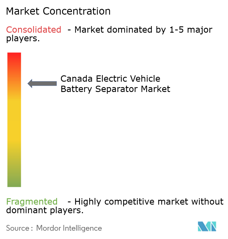 Canada Electric Vehicle Battery Separator Market Concentration