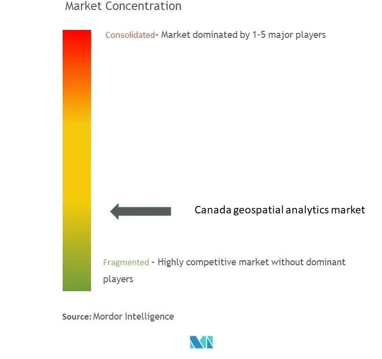 Canada Geospatial Imagery Analytics Market Concentration