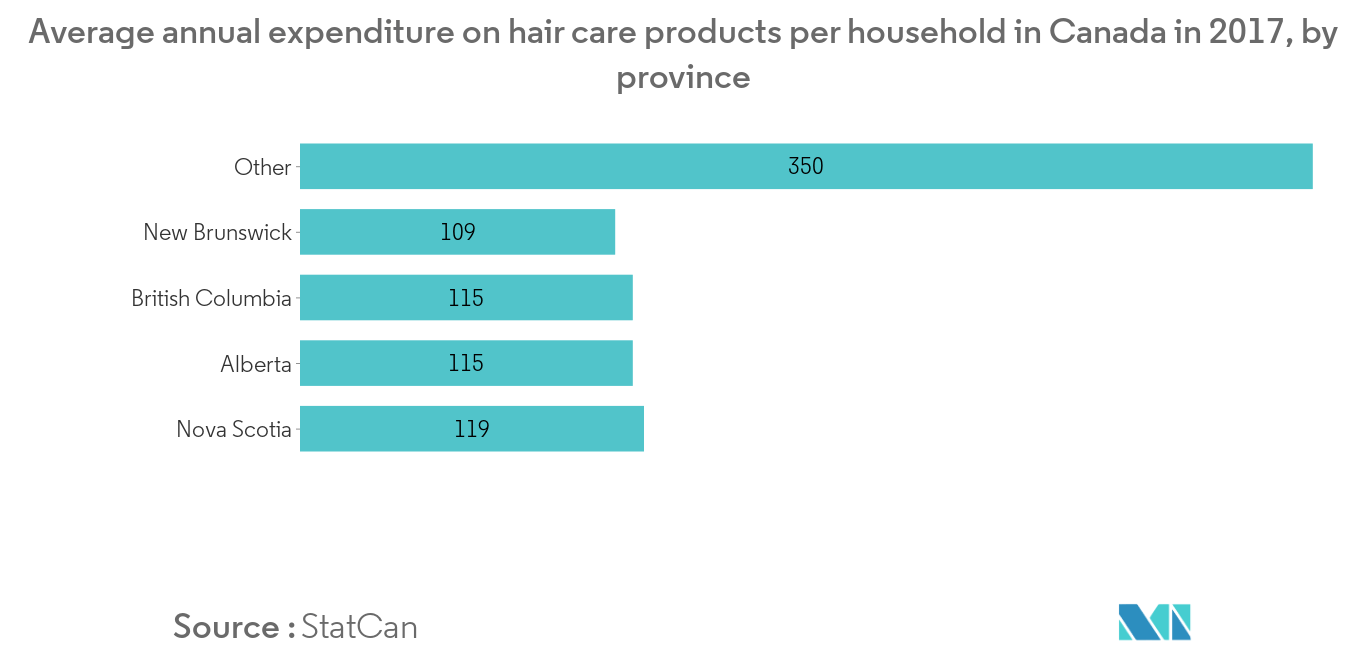 canada hair care market industry2