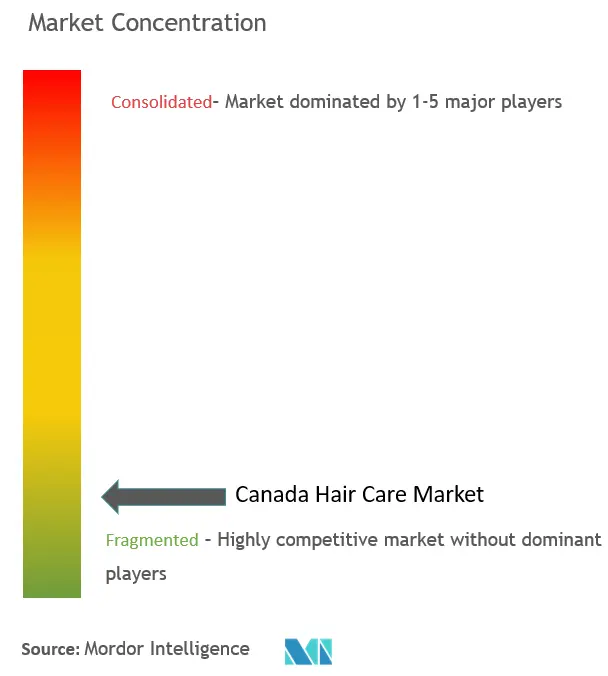 Concentración del mercado de cuidado del cabello de Canadá