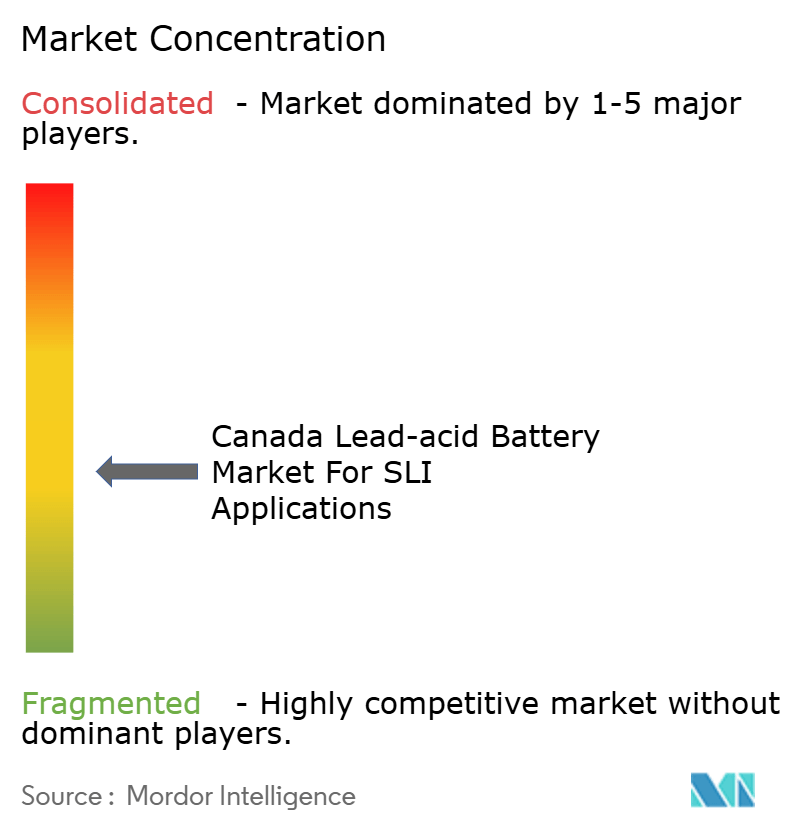Canada Lead-Acid Battery Market For SLI Applications Market Concentration