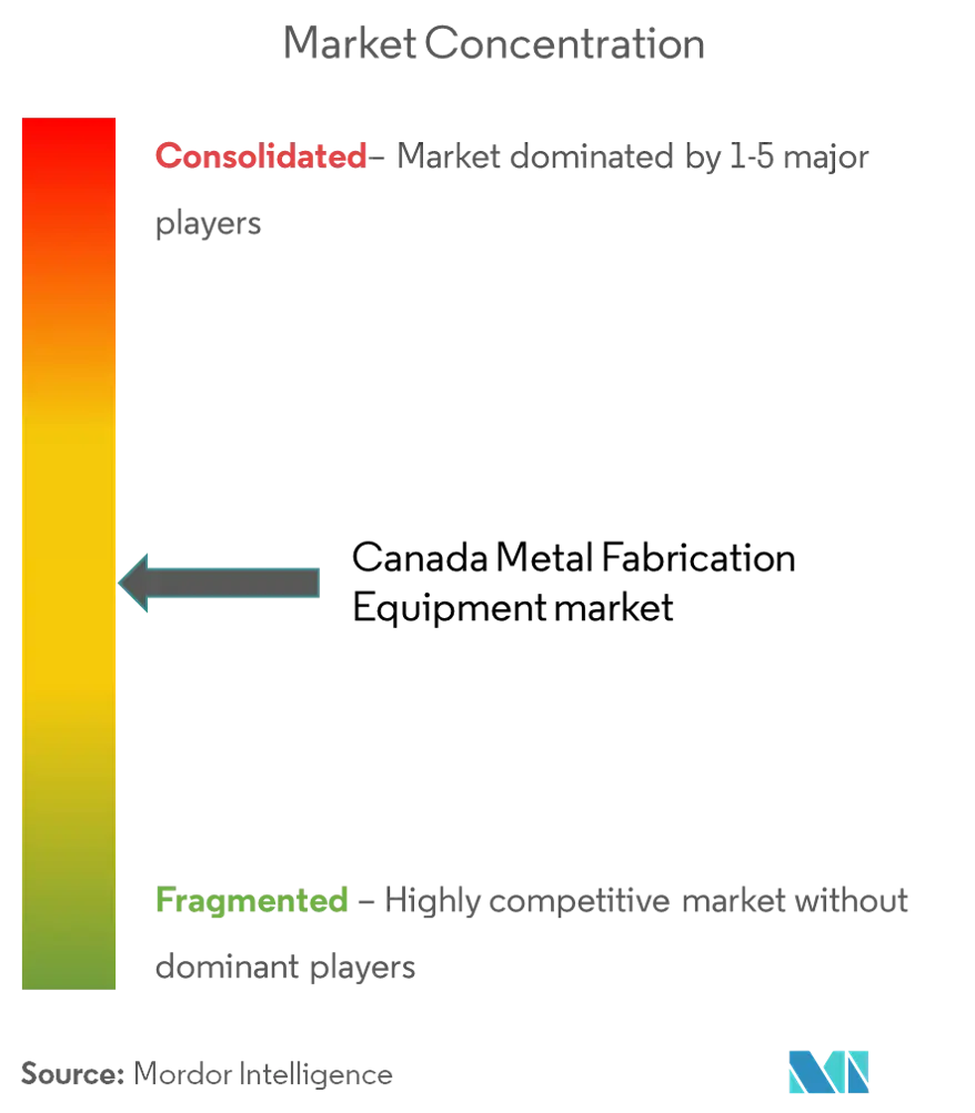 Canada Metal Fabrication Equipment Market Concentration