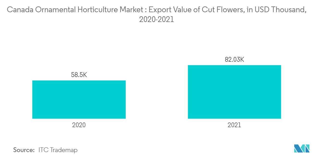 Рынок декоративного садоводства Канады стоимость экспорта срезанных цветов, в тысячах долларов США, 2020-2021 гг.