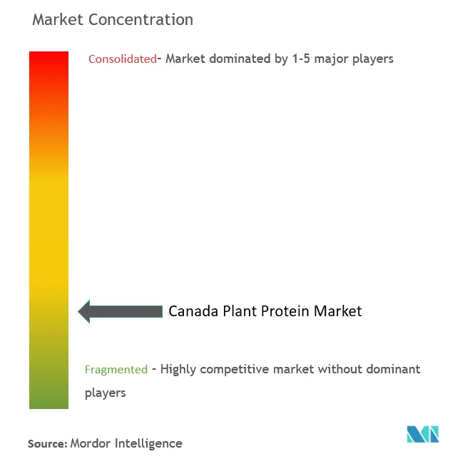 Protéines végétales du CanadaConcentration du marché