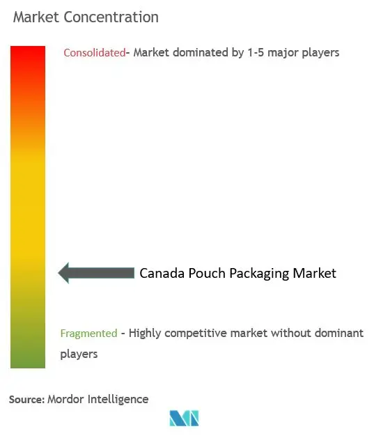 Canada Pouch Packaging Market Concentration