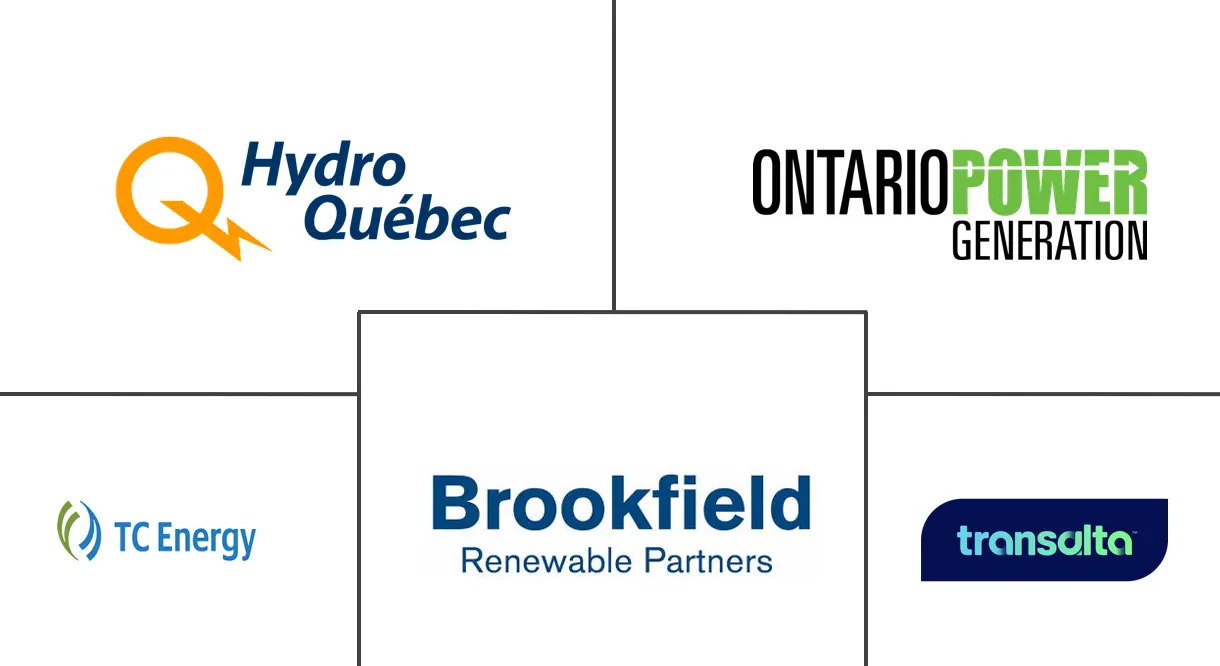 Principales actores en Mercado de Energía de Canadá industria