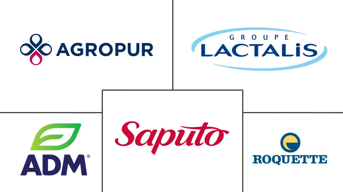 Logo delle aziende correlate