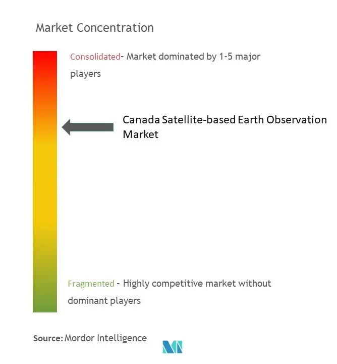 カナダの衛星ベース地球観測市場の集中度