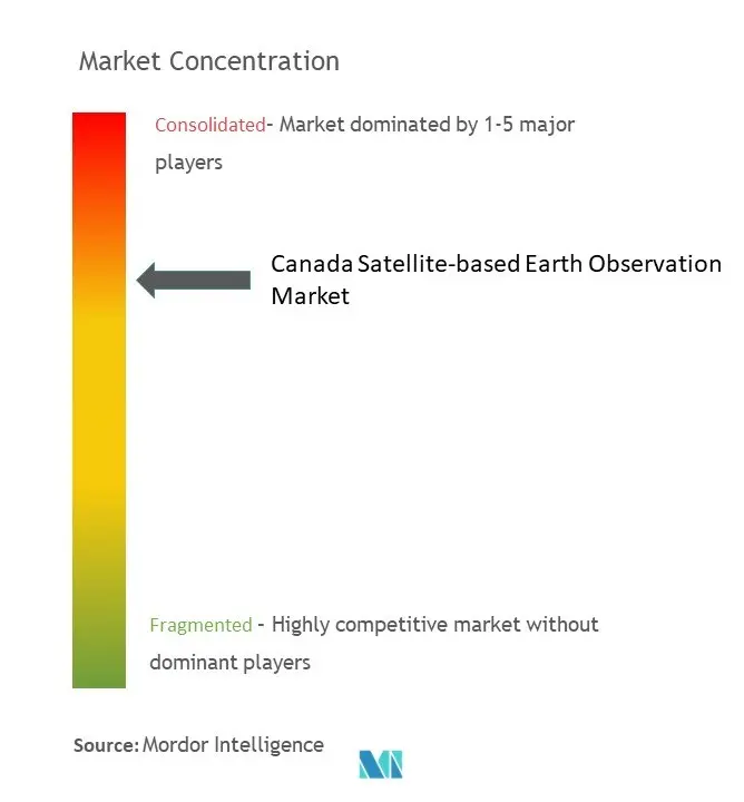 カナダの衛星による地球観測市場集中度